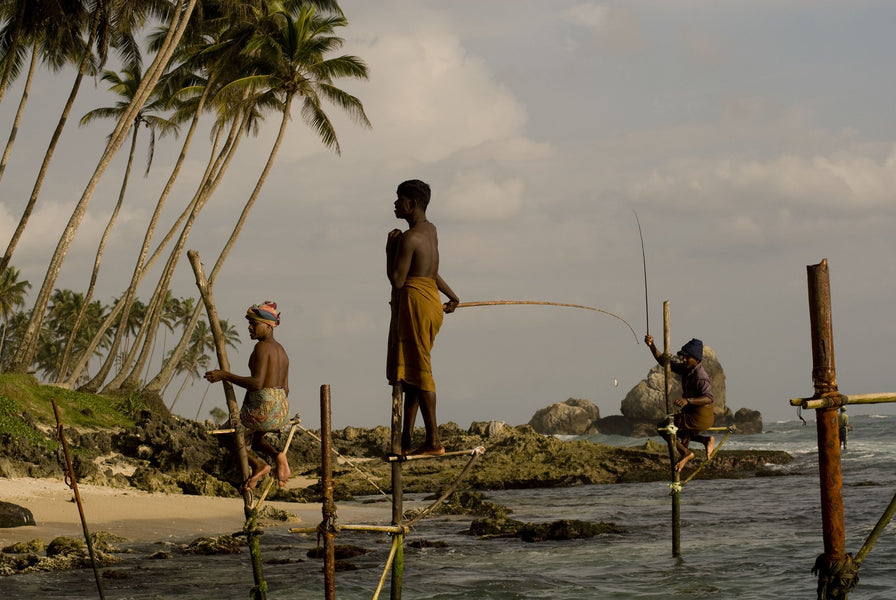 Stilt Fishermen of Sri Lanka